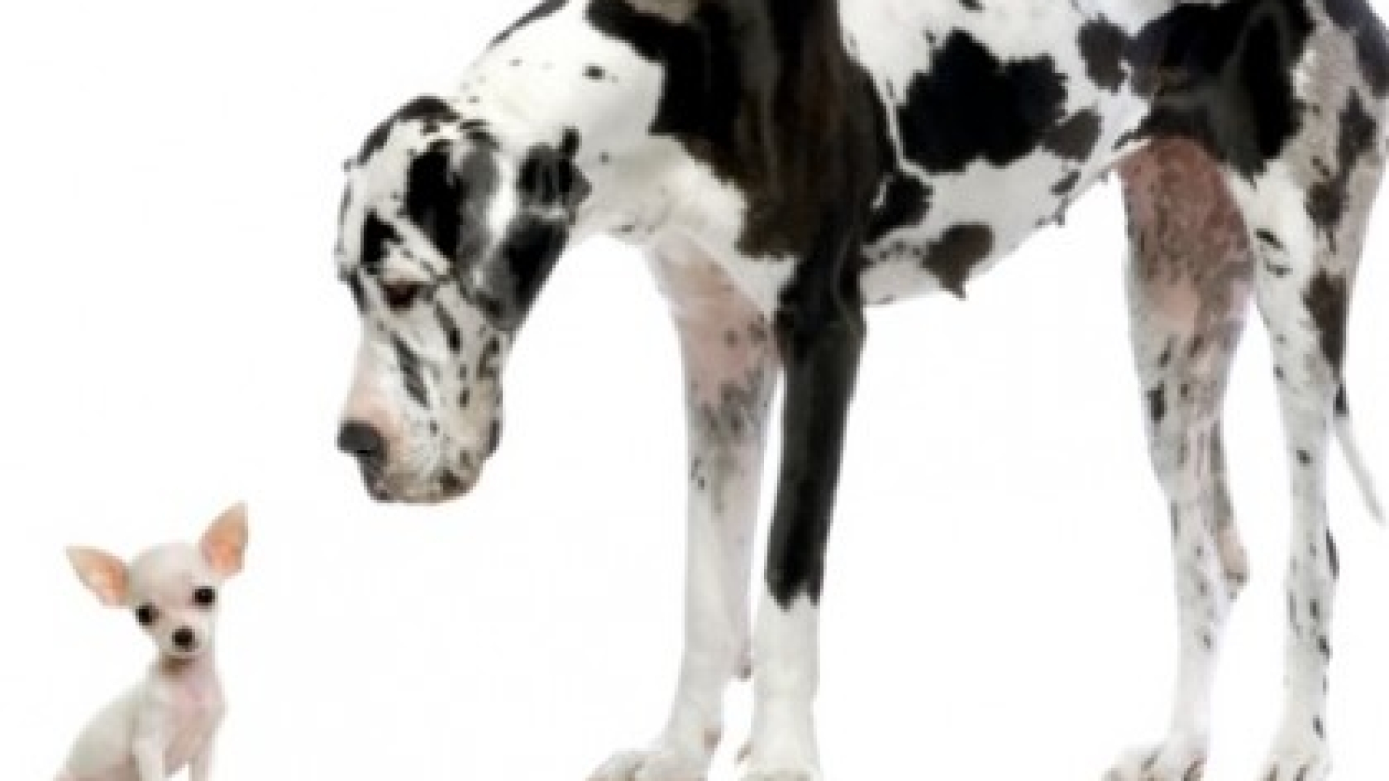 size-matters-2-420x420_c